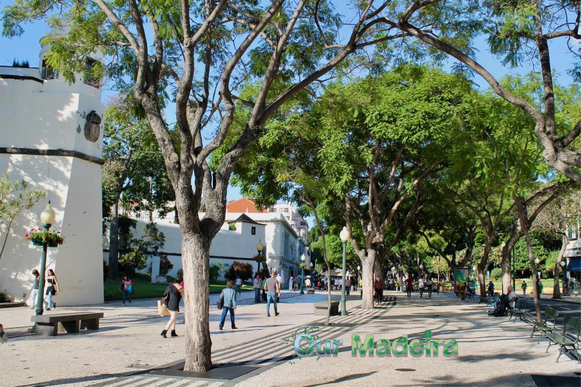 Ourmadeira - Heart Of Old Town II Apartment Funchal  Bagian luar foto