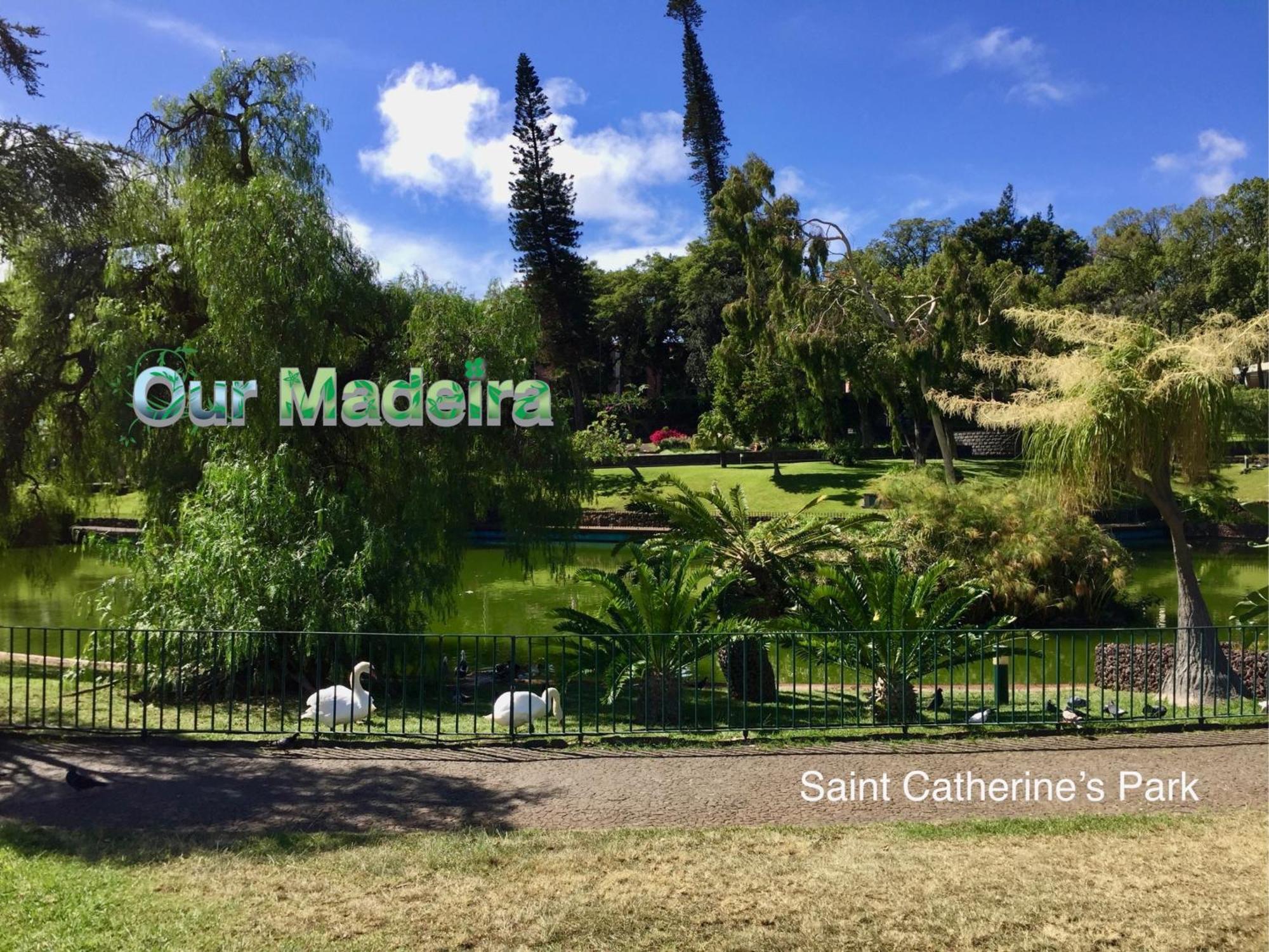 Ourmadeira - Heart Of Old Town II Apartment Funchal  Bagian luar foto
